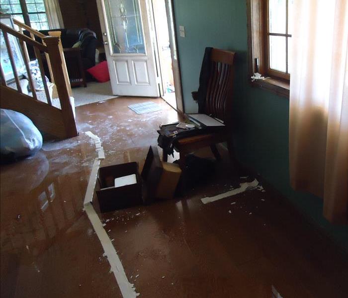 Standing water in dining room 
